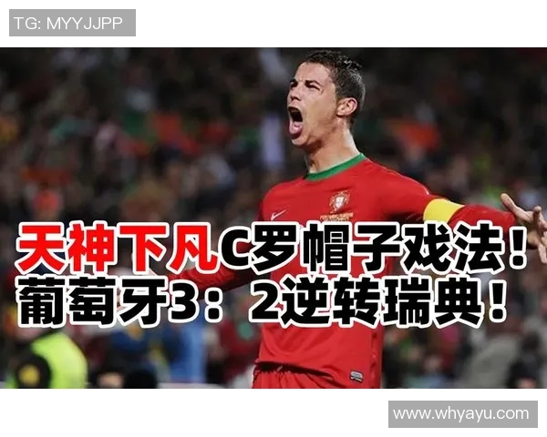 法国与瑞典在欧洲杯的激烈对决回顾与分析