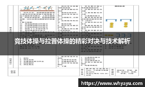 竞技体操与拉普体操的精彩对决与技术解析
