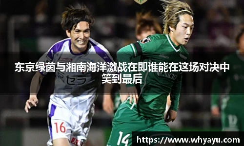 xc体育手机下载