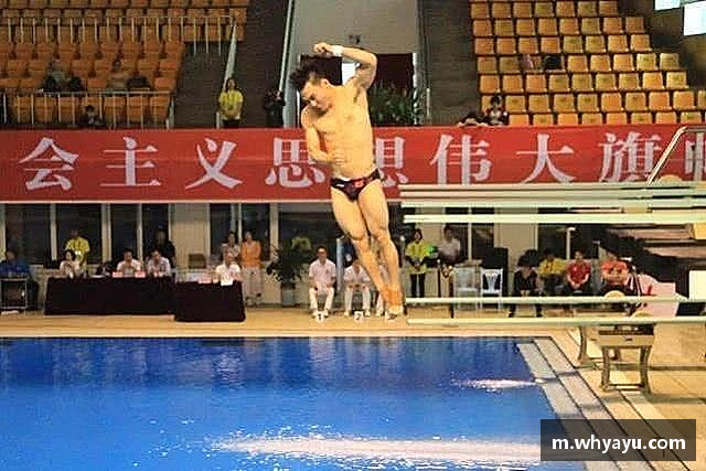 解读xc体育网址